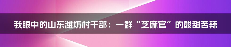 我眼中的山东潍坊村干部：一群“芝麻官”的酸甜苦辣