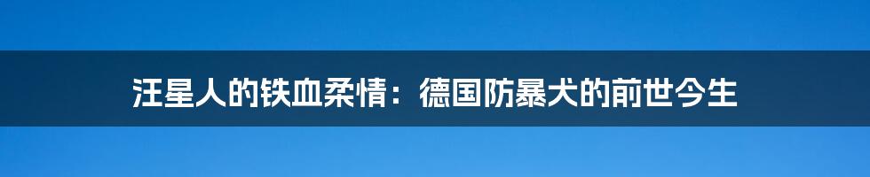 汪星人的铁血柔情：德国防暴犬的前世今生