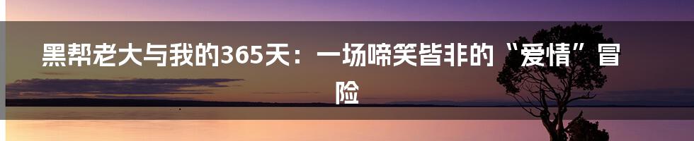 黑帮老大与我的365天：一场啼笑皆非的“爱情”冒险