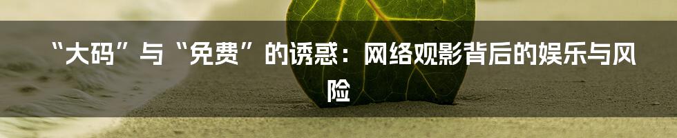 “大码”与“免费”的诱惑：网络观影背后的娱乐与风险