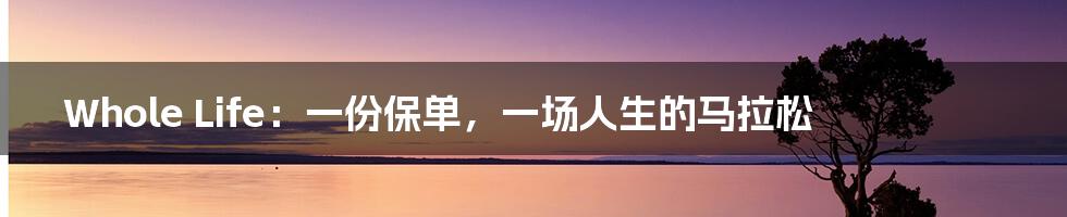 Whole Life:一份保单,一场人生的马拉松