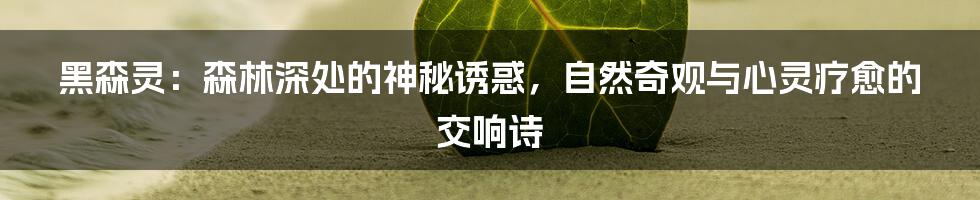 黑森灵:森林深处的神秘诱惑,自然奇观与心灵疗愈的交响诗