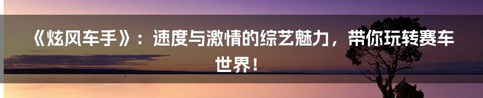 《炫风车手》：速度与激情的综艺魅力，带你玩转赛车世界！