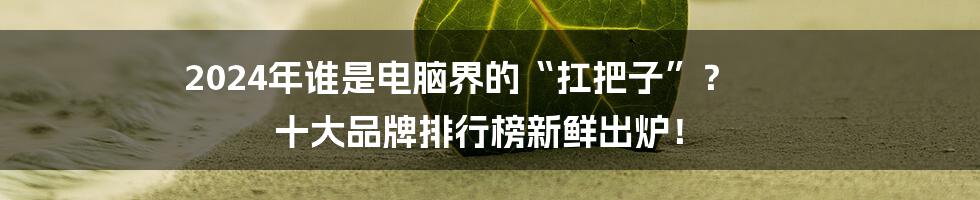 2024年谁是电脑界的“扛把子”？ 十大品牌排行榜新鲜出炉！