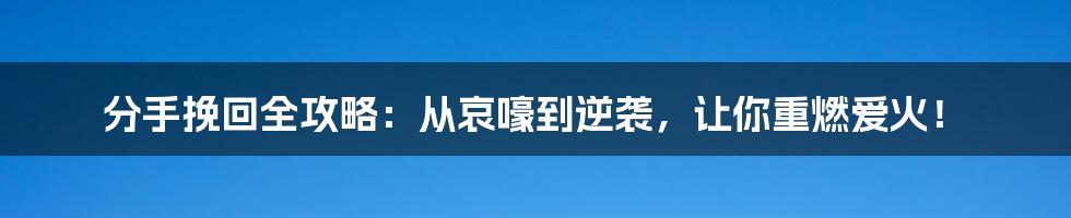 分手挽回全攻略：从哀嚎到逆袭，让你重燃爱火！