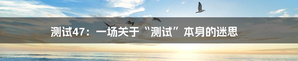 测试47:一场关于“测试”本身的迷思
