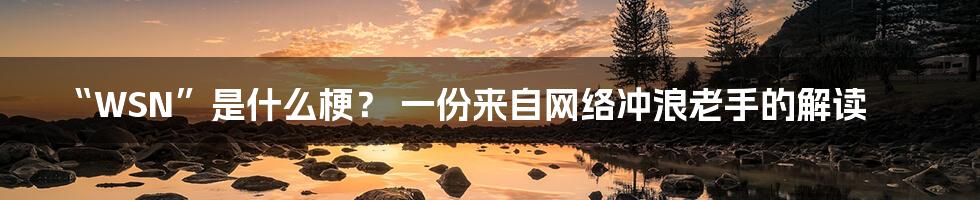 “WSN”是什么梗? 一份来自网络冲浪老手的解读