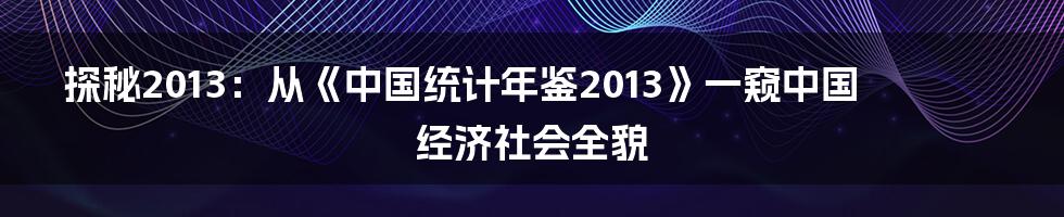 探秘2013：从《中国统计年鉴2013》一窥中国经济社会全貌