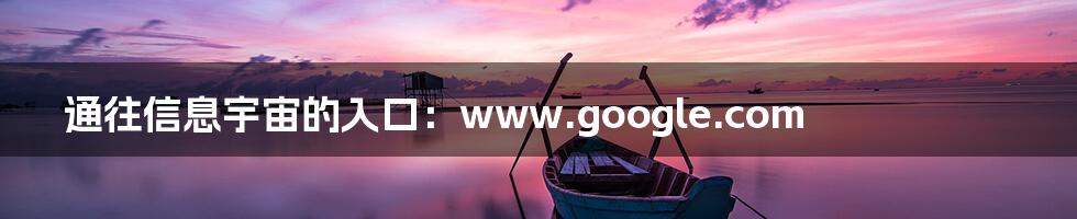 通往信息宇宙的入口:www.google.com
