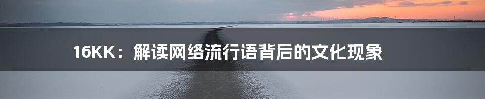 16KK:解读网络流行语背后的文化现象