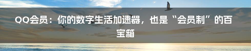 QQ会员:你的数字生活加速器,也是“会员制”的百宝箱