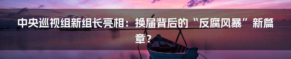 中央巡视组新组长亮相:换届背后的“反腐风暴”新篇章?