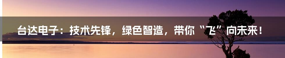 台达电子:技术先锋,绿色智造,带你“飞”向未来!