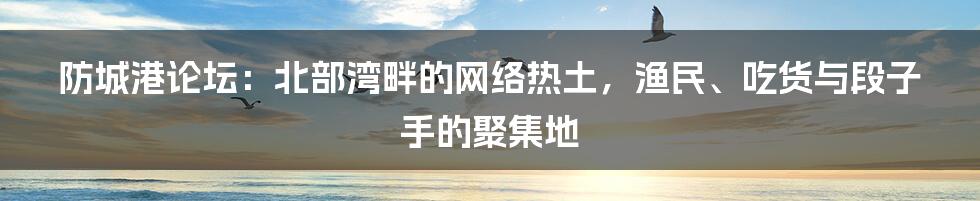 防城港论坛:北部湾畔的网络热土,渔民、吃货与段子手的聚集地