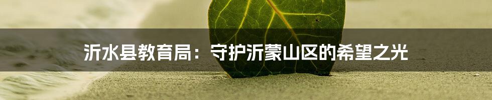 沂水县教育局:守护沂蒙山区的希望之光