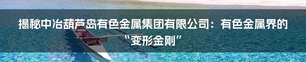 揭秘中冶葫芦岛有色金属集团有限公司:有色金属界的“变形金刚”