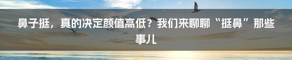 鼻子挺,真的决定颜值高低?我们来聊聊“挺鼻”那些事儿