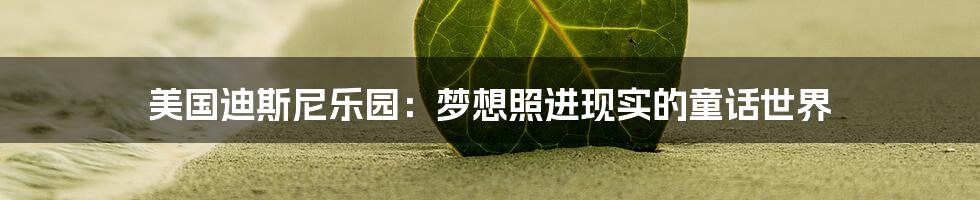 美国迪斯尼乐园:梦想照进现实的童话世界