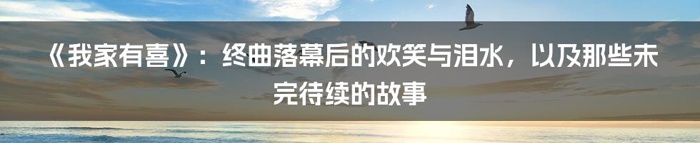 《我家有喜》：终曲落幕后的欢笑与泪水，以及那些未完待续的故事