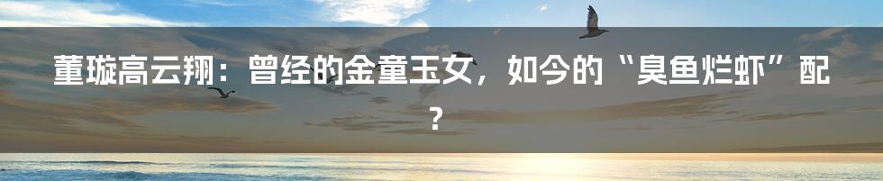 董璇高云翔：曾经的金童玉女，如今的“臭鱼烂虾”配？