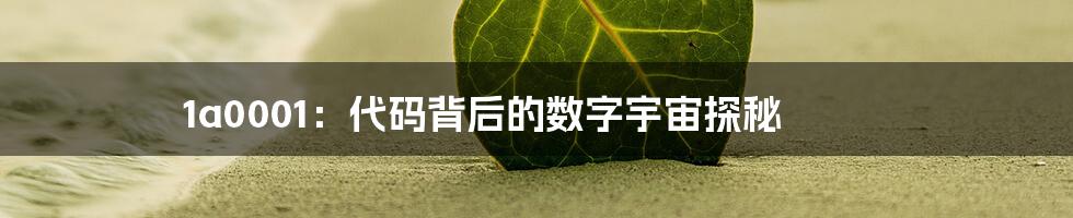 1a0001：代码背后的数字宇宙探秘