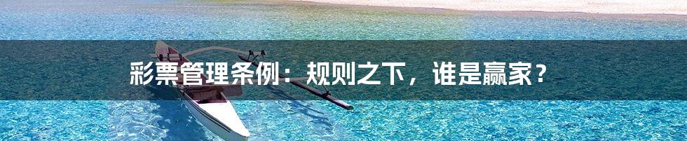 彩票管理条例:规则之下,谁是赢家?