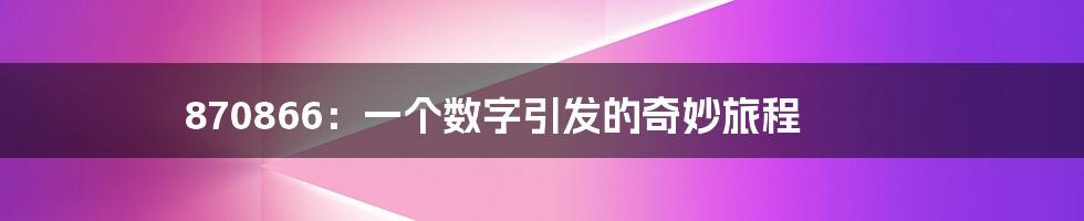 870866:一个数字引发的奇妙旅程