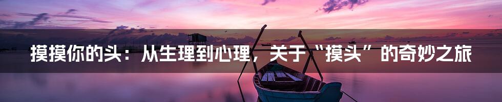 摸摸你的头：从生理到心理，关于“摸头”的奇妙之旅