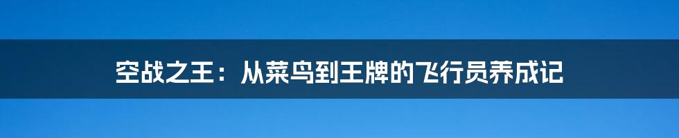 空战之王：从菜鸟到王牌的飞行员养成记