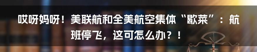 哎呀妈呀!美联航和全美航空集体“歇菜”:航班停飞,这可怎么办?!