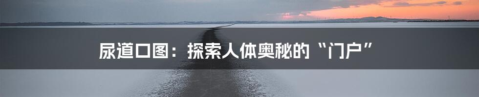 尿道口图：探索人体奥秘的“门户”