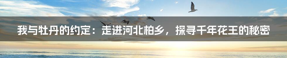 我与牡丹的约定：走进河北柏乡，探寻千年花王的秘密