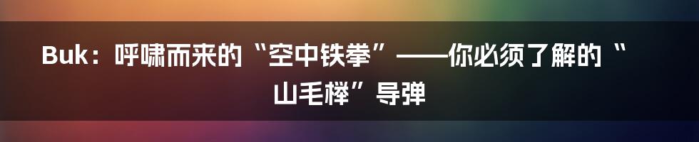 Buk：呼啸而来的“空中铁拳”——你必须了解的“山毛榉”导弹