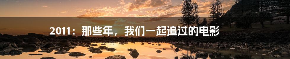 2011：那些年，我们一起追过的电影