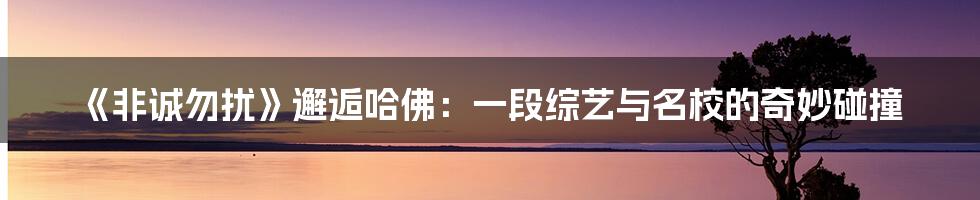 《非诚勿扰》邂逅哈佛：一段综艺与名校的奇妙碰撞