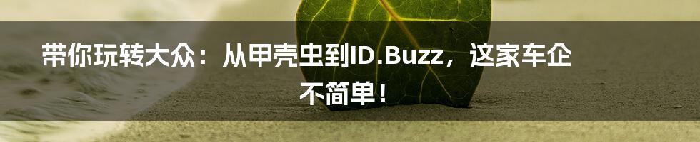 带你玩转大众:从甲壳虫到ID.Buzz,这家车企不简单!
