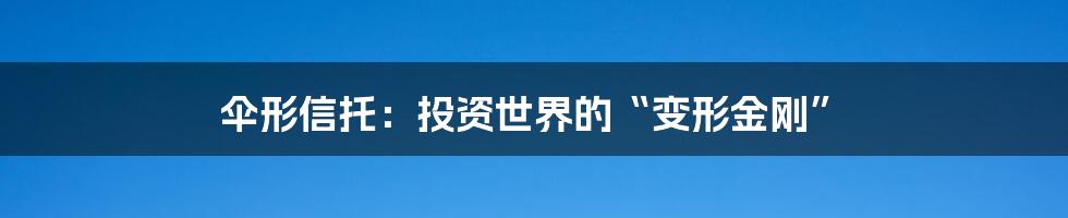 伞形信托：投资世界的“变形金刚”