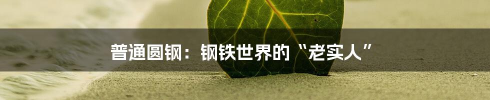 普通圆钢:钢铁世界的“老实人”