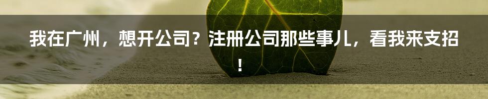 我在广州,想开公司?注册公司那些事儿,看我来支招!