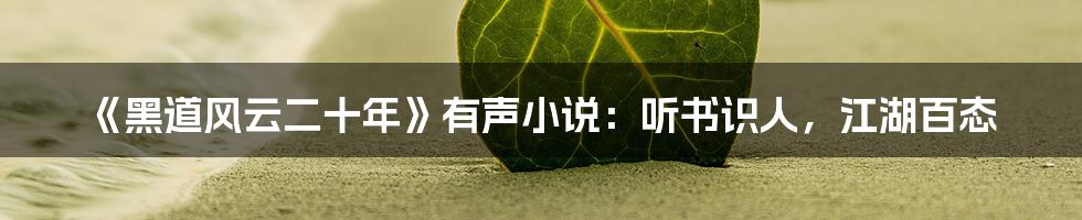 《黑道风云二十年》有声小说:听书识人,江湖百态