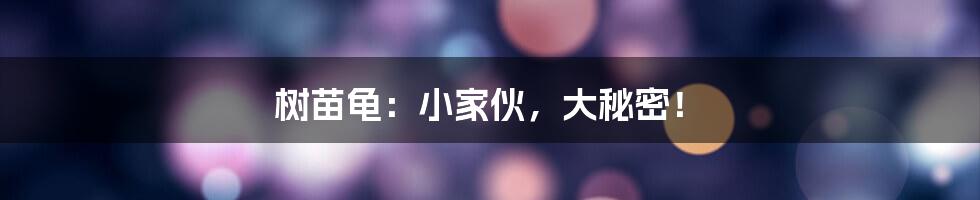 树苗龟:小家伙,大秘密!