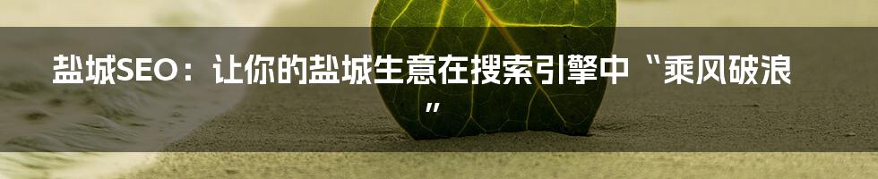 盐城SEO:让你的盐城生意在搜索引擎中“乘风破浪”