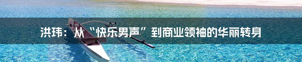 洪玮:从“快乐男声”到商业领袖的华丽转身