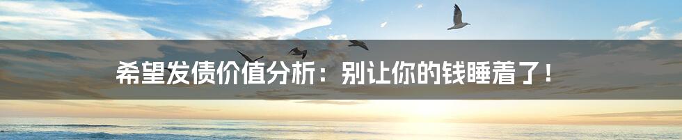 希望发债价值分析:别让你的钱睡着了!