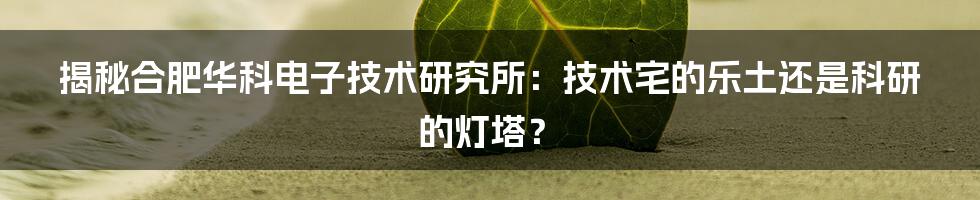 揭秘合肥华科电子技术研究所:技术宅的乐土还是科研的灯塔?