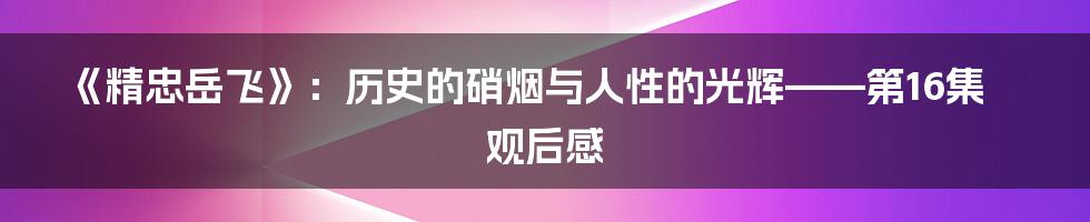 《精忠岳飞》：历史的硝烟与人性的光辉——第16集观后感