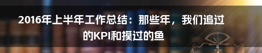 2016年上半年工作总结:那些年,我们追过的KPI和摸过的鱼