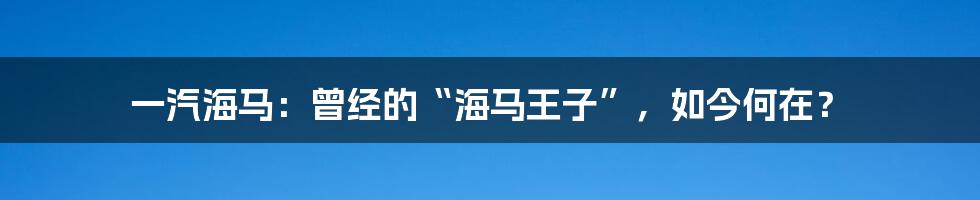一汽海马：曾经的“海马王子”，如今何在？