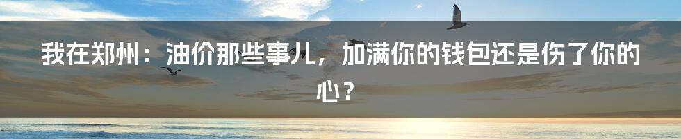 我在郑州:油价那些事儿,加满你的钱包还是伤了你的心?
