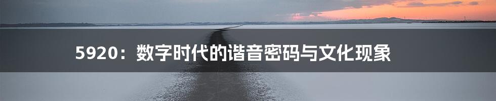 5920:数字时代的谐音密码与文化现象
